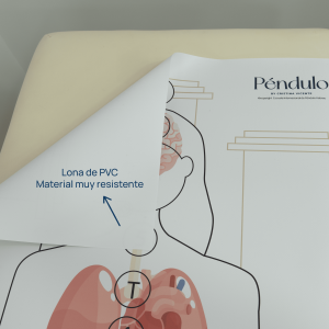 Silueta con órganos - Mujer. Tamaño real.