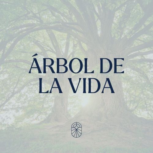 sesión arbol de la vida
